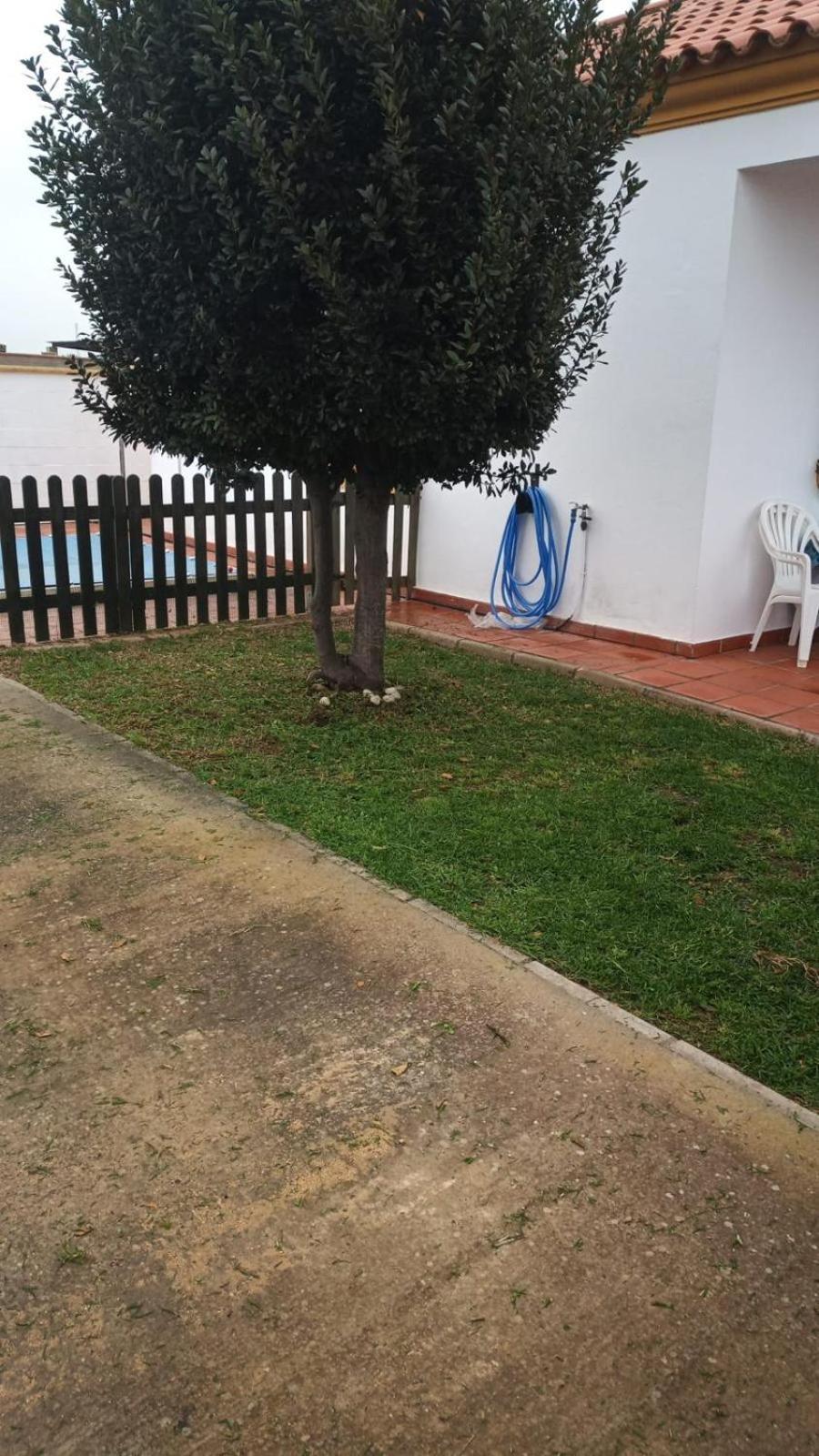 Bellavista De Conil Villa Конил-де-ла-Фронтера Екстериор снимка